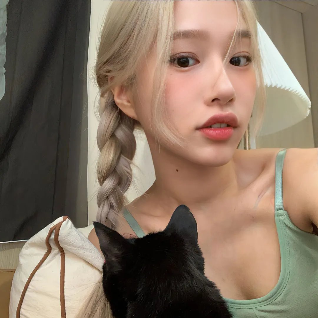波尔卡的猪
