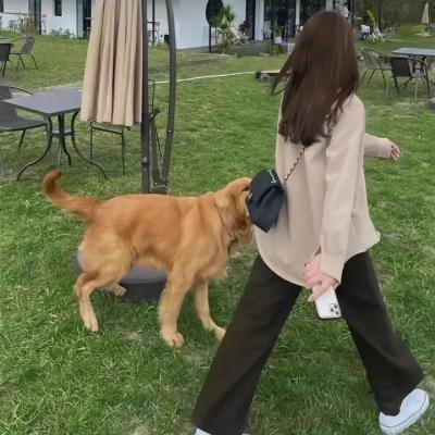 超越边界